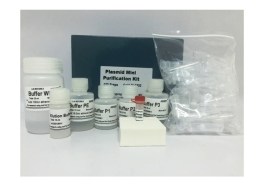 Kit De Purificação De DNA Plasmidial - 100 Reações - Biotec